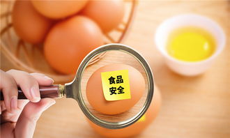 外貿(mào)進(jìn)口出貨全流程解析與技術(shù)咨詢要點(diǎn)